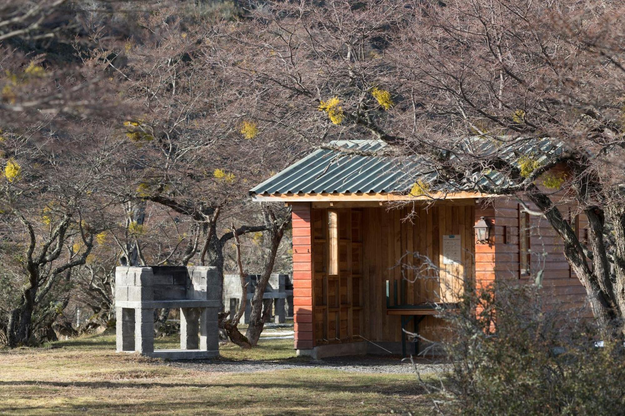 Glamping Rio Serrano - Caja Los Andes トレス・デル・パイネ エクステリア 写真
